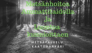 Metsäpalvelu Kaatovänkäri Oy, Oulu